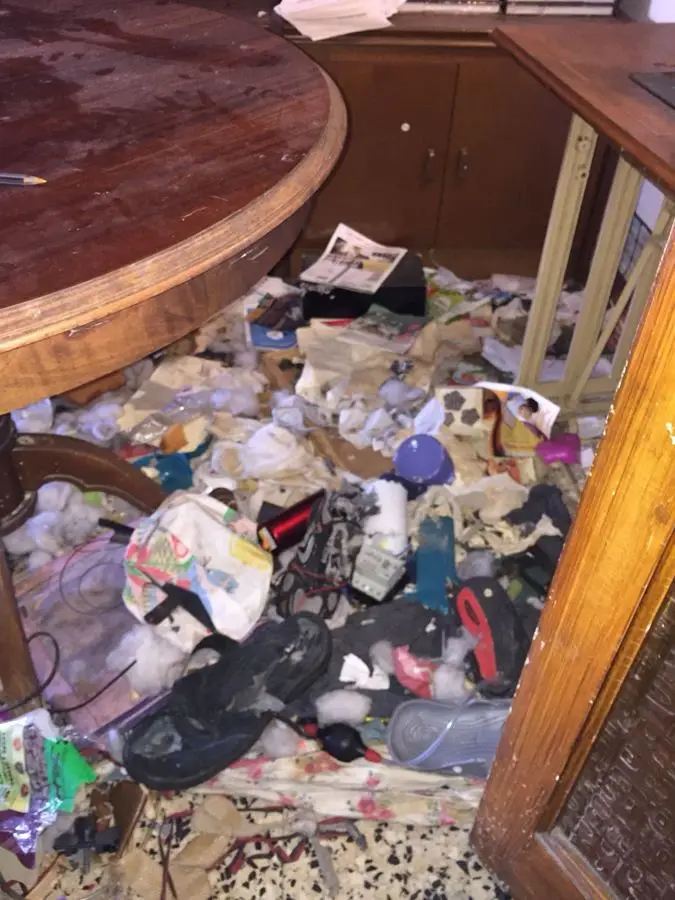 Buidatge de pisos i neteja especialitzada a Barcelona