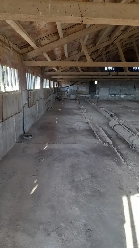 Resultat de buidatge de pisos i neteja en nau industrial de Barcelona
