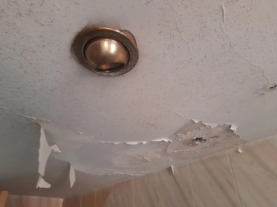 Sostre amb pintura despresa després de buidatge de pisos a Barcelona